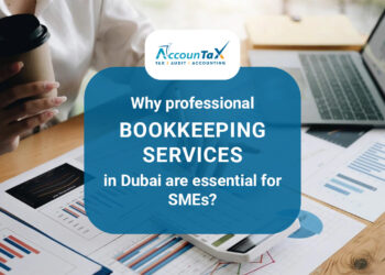 professional bookkeeping services in Dubai
